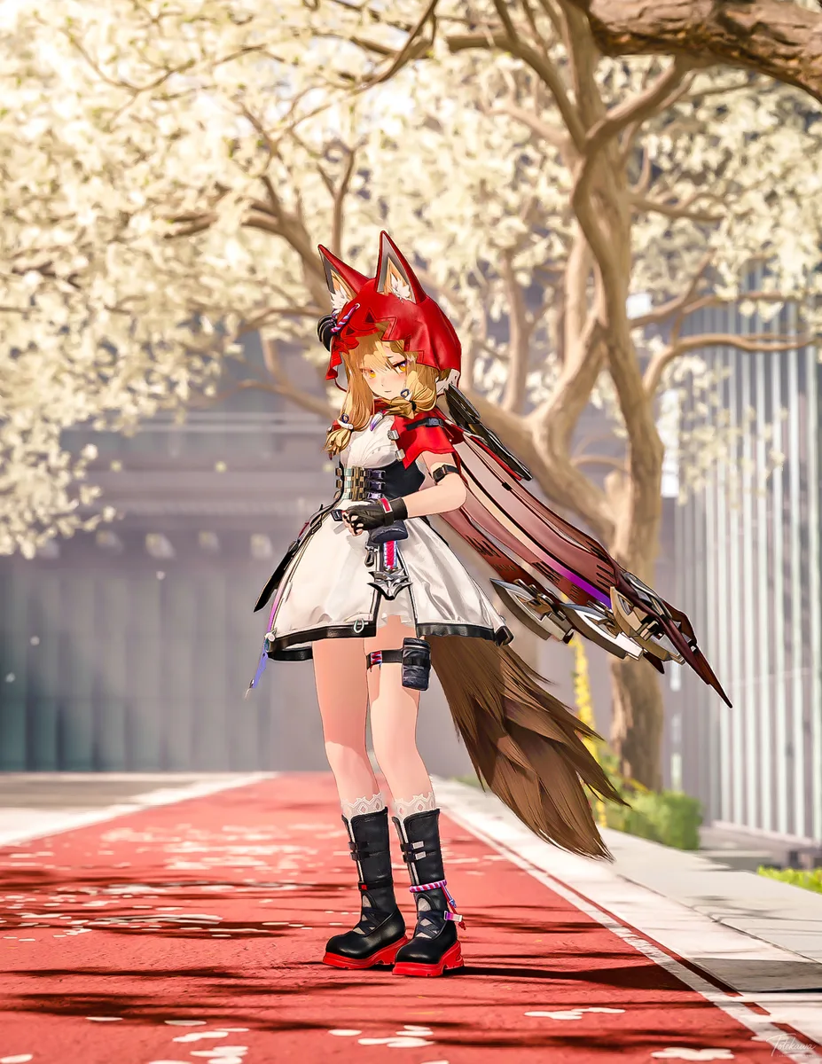 春の道で向き直るロッシちゃん🐺✨ 管理人に会えてよかったね🌸