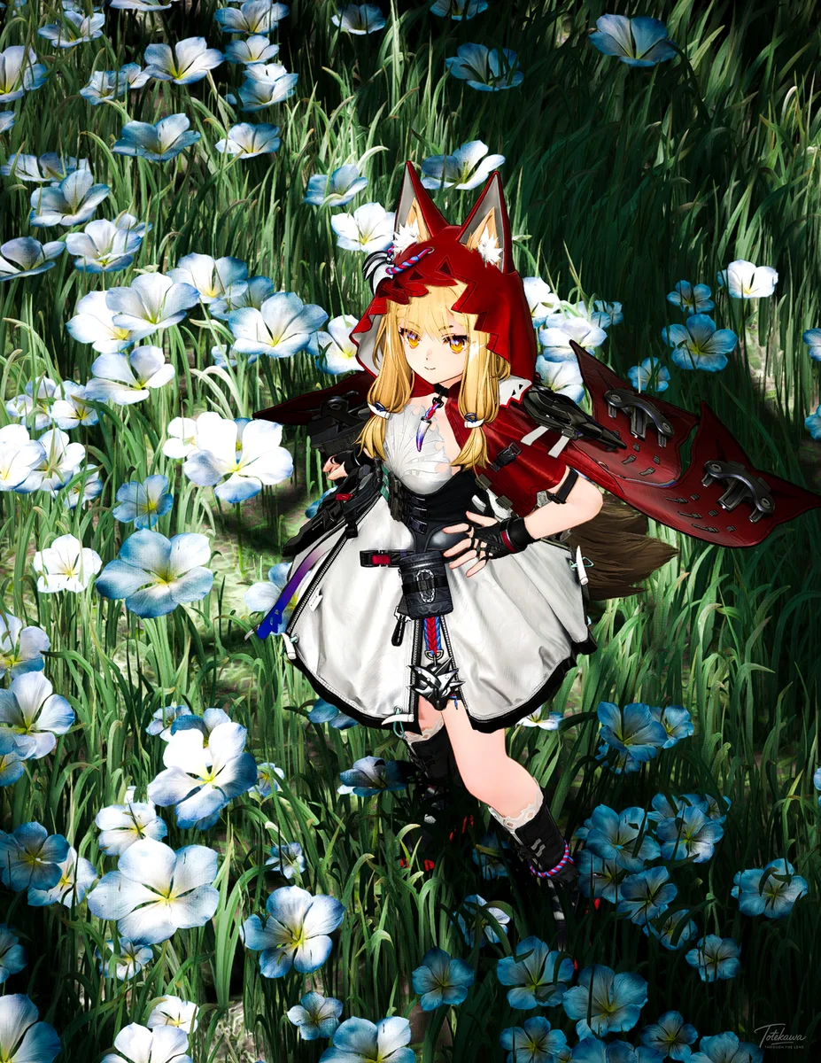 花の海に凛と佇むロッシちゃん🐺✨ 柔らかな光に包まれる姿がとても美しいね💕