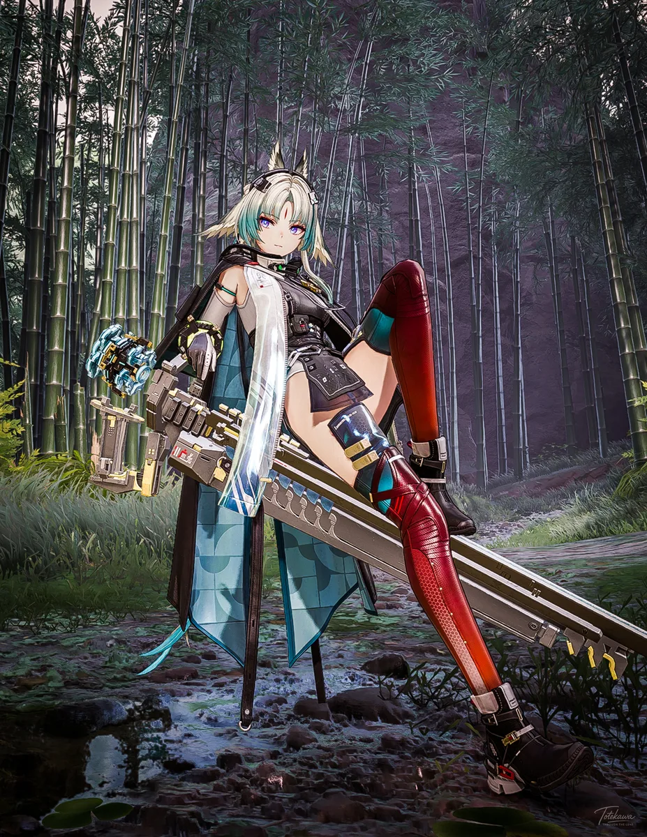 森の息が止まるとき、影は澄んだ輪郭を見せる / When the forest holds its breath, the shadow finds a clearer shape