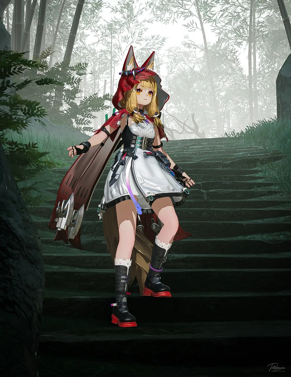 苔むした石段を歩く、とてもかわいいロッシちゃん🐺✨ 霧に包まれた竹林の中を、軽やかに進む姿が凛としててかわいいね🫶