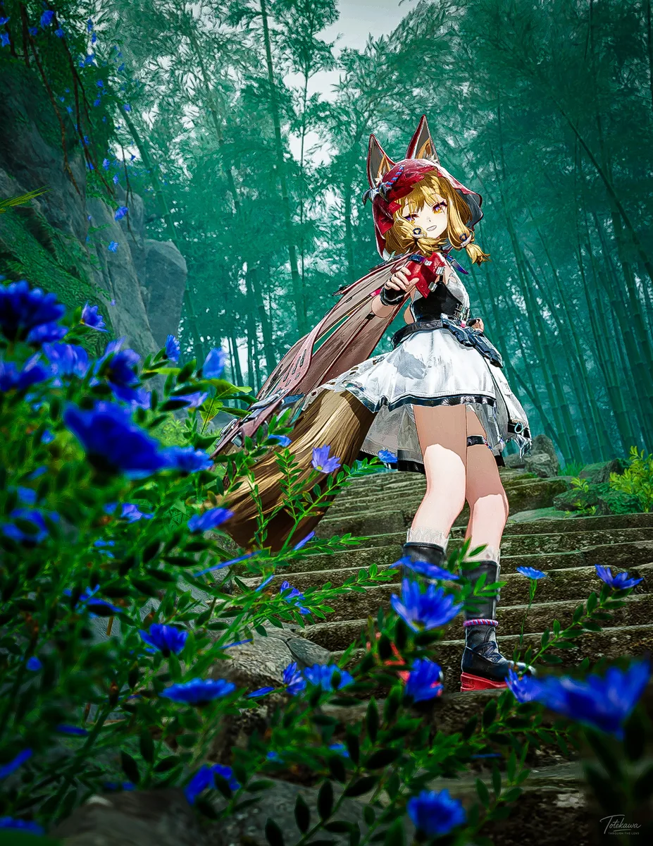 雨に濡れながらも石段を駆けていくロッシちゃん🐺✨ その姿は、咲き誇る青い花のように美しくて頼もしいね🫶