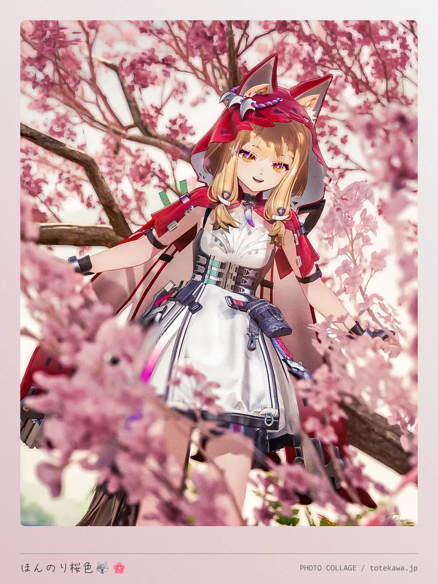 ほんのり桜色🐺🌸