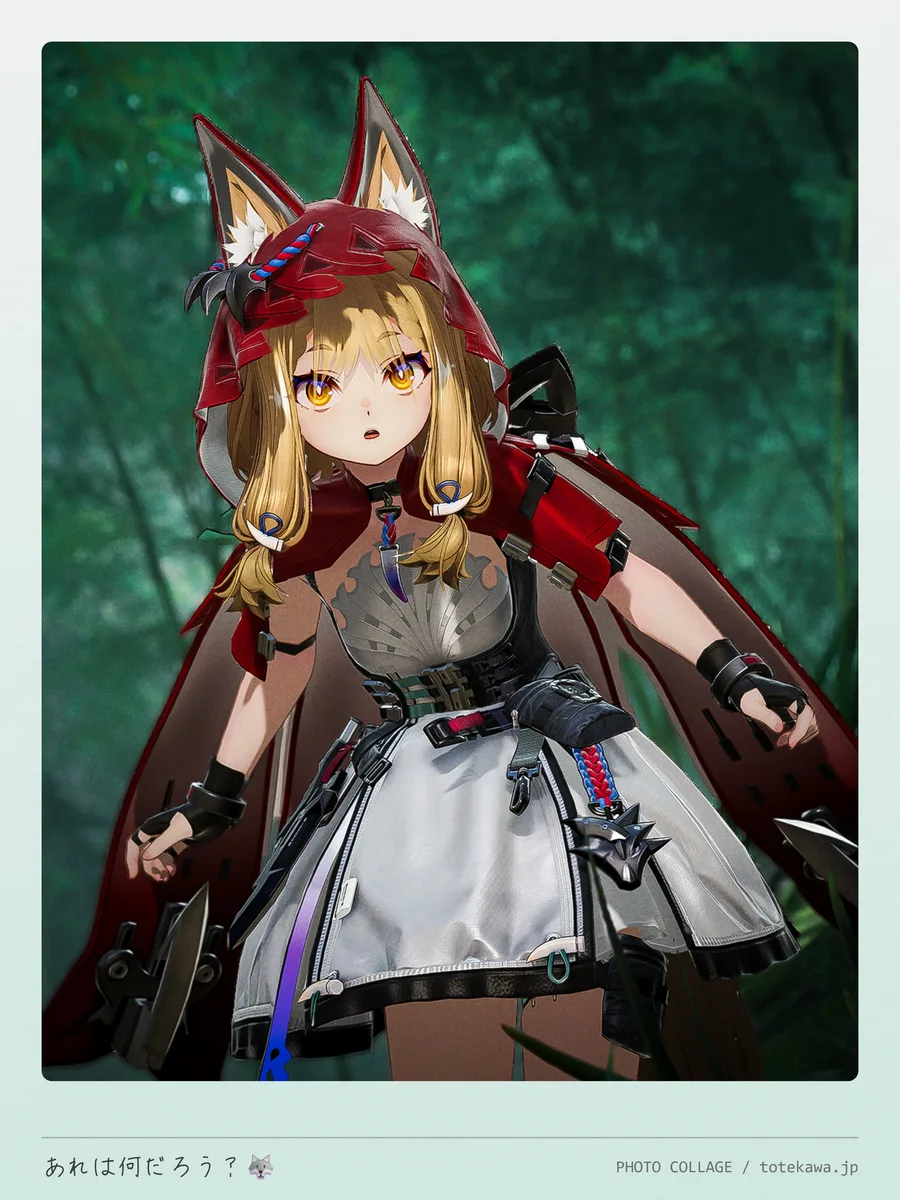 あれは何だろう?🐺