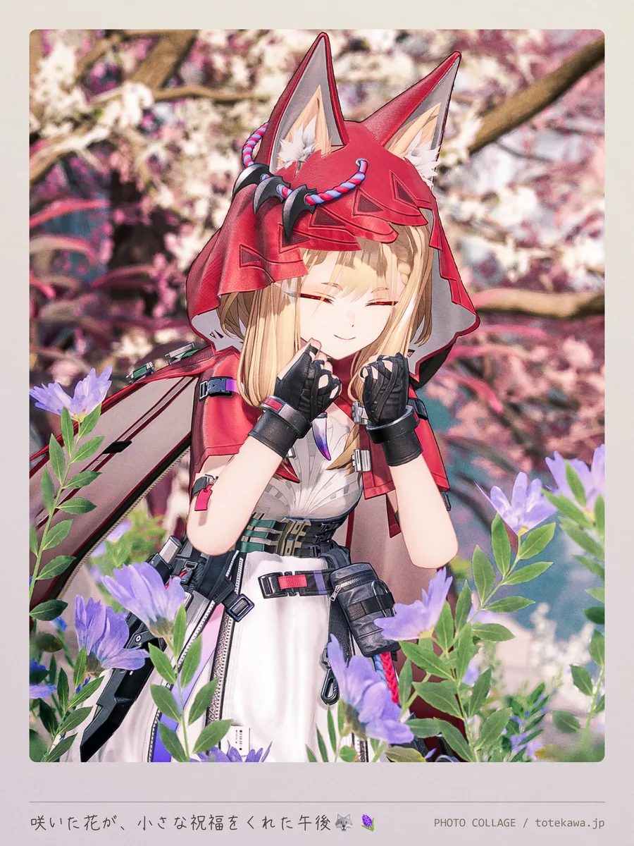 咲いた花が、小さな祝福をくれた午後🐺🪻