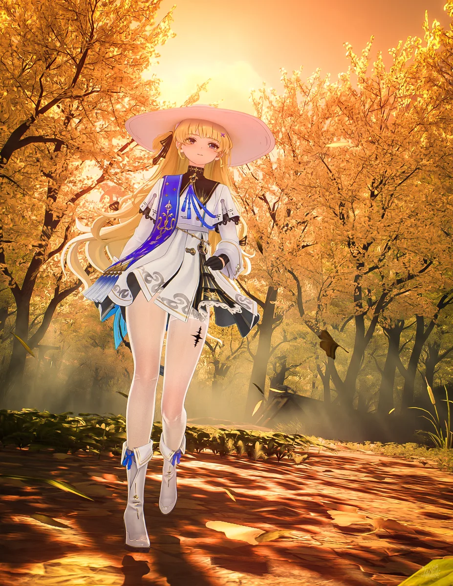 巡礼の途にて🍂 / On the Path of Pilgrimage🍂